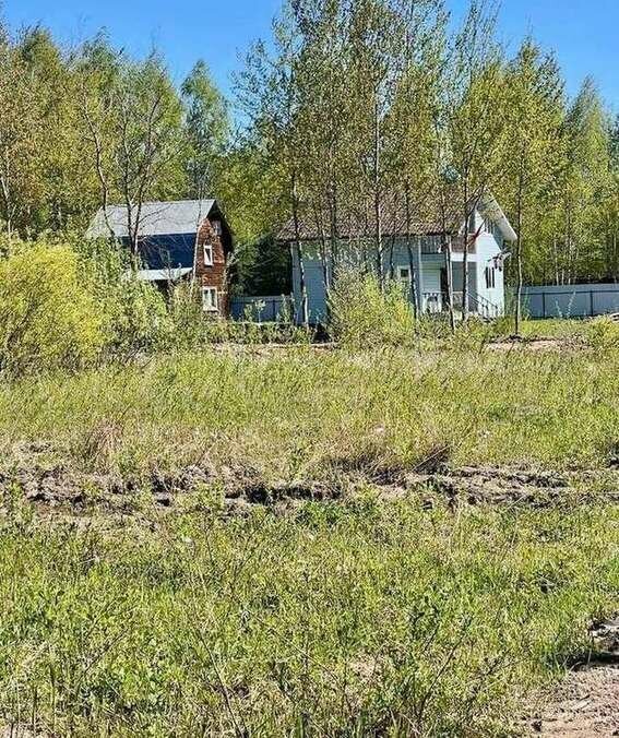 земля городской округ Богородский г Ногинск снт Семья 58 фото 2
