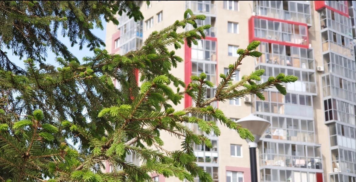 квартира г Новосибирск р-н Октябрьский Золотая Нива ул Вилюйская 15 ЖК «Гринвилл» фото 39