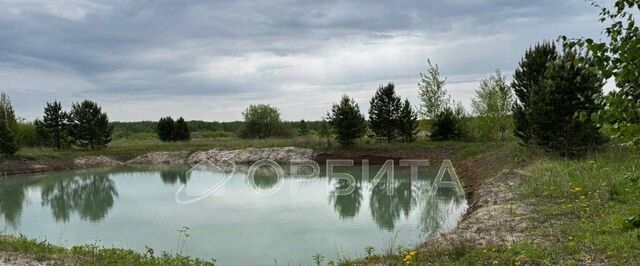 земля Новокаменский кп, ул. Васнецова фото
