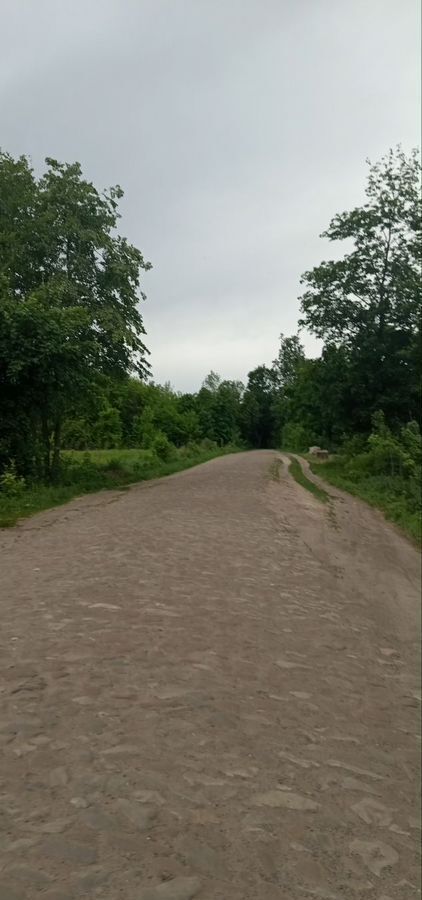 земля г Льгов Льгов-2 фото 3