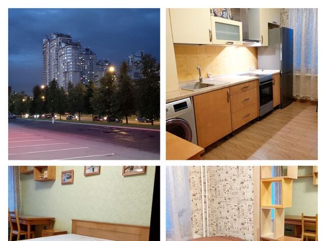 метро Озерки пр-кт Луначарского 11к/1 фото
