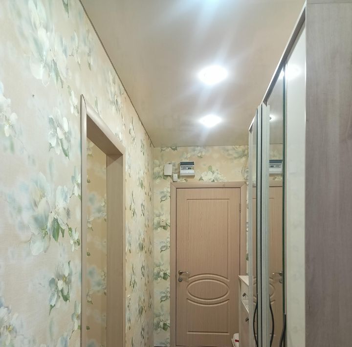 квартира г Воронеж р-н Советский ул Пирогова 41 фото 13