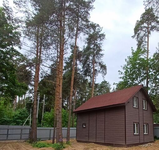 22 км, деревня Большое Васильево, Носовихинское шоссе фото