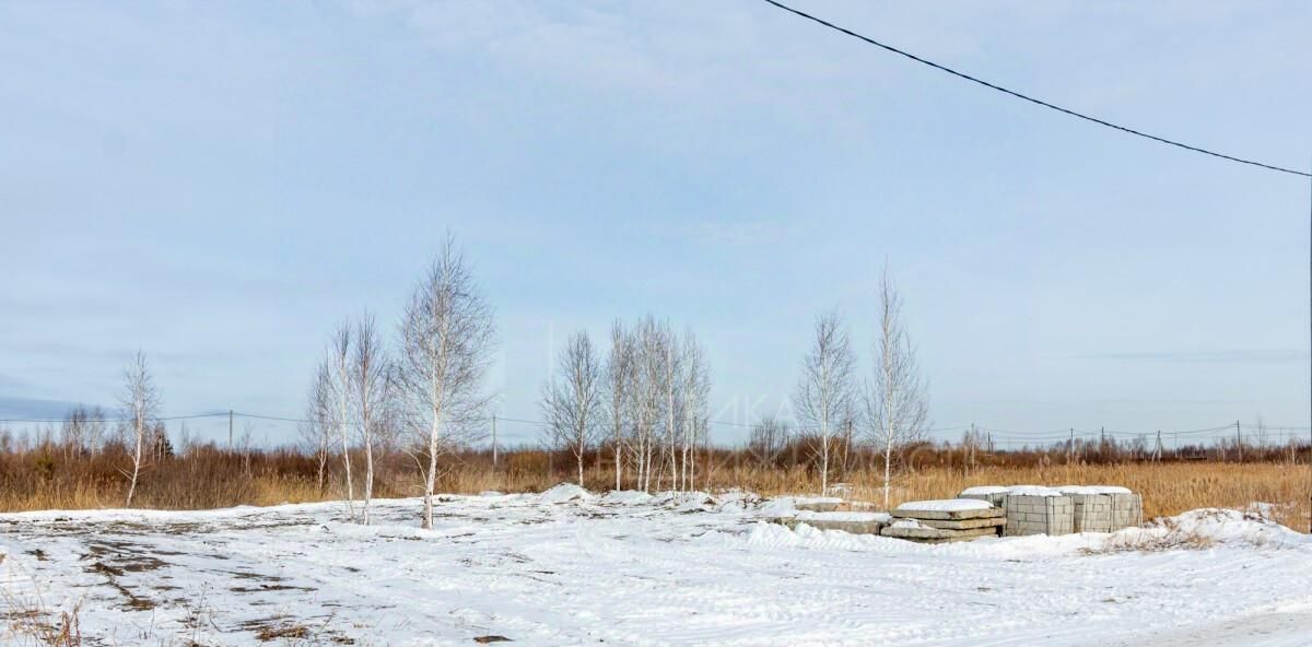 земля г Тюмень р-н Центральный снт Матрешка ул. Елисеевская фото 3