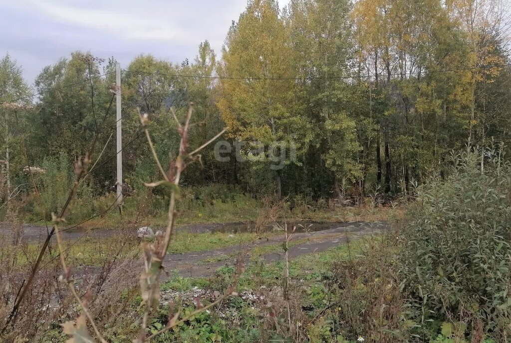 земля г Междуреченск ул Яворского фото 4