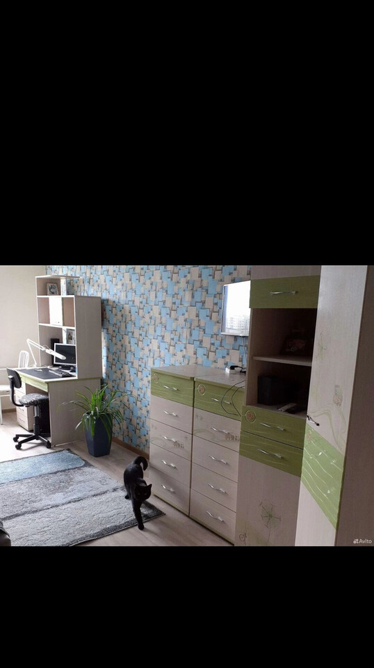 квартира г Челябинск ул Молодогвардейцев 10б фото 10