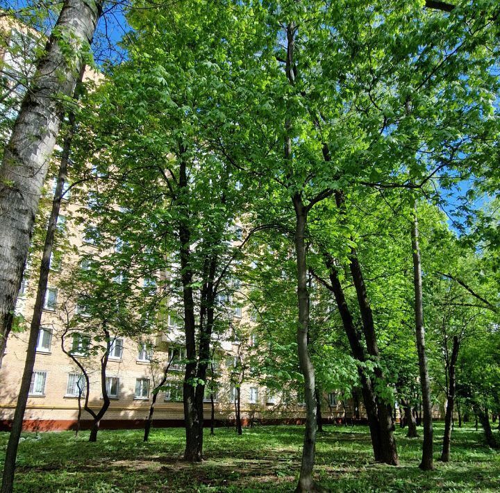 квартира г Москва метро Кунцевская ул Ращупкина 7 фото 20
