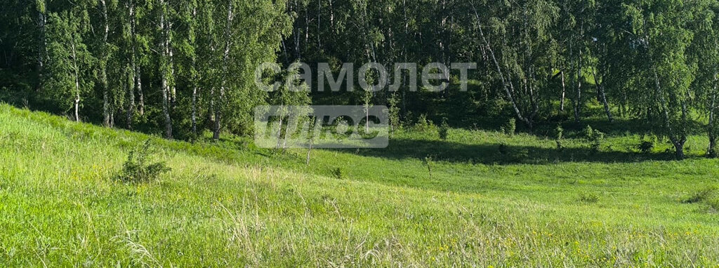 земля г Октябрьский снт Ягодка фото 5
