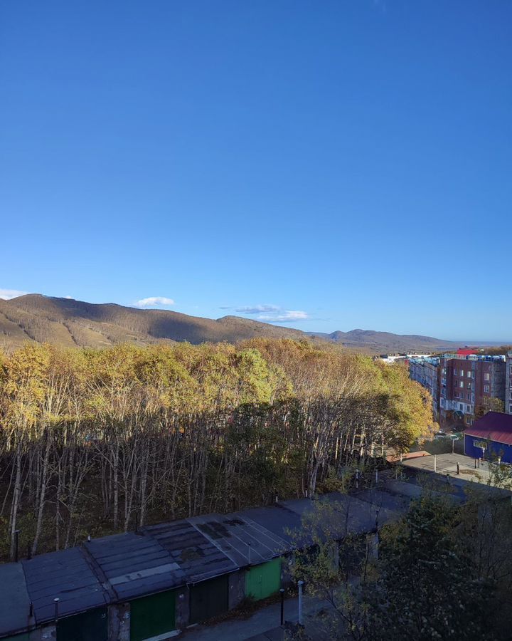 квартира г Петропавловск-Камчатский ул Академика Курчатова 15 фото 37