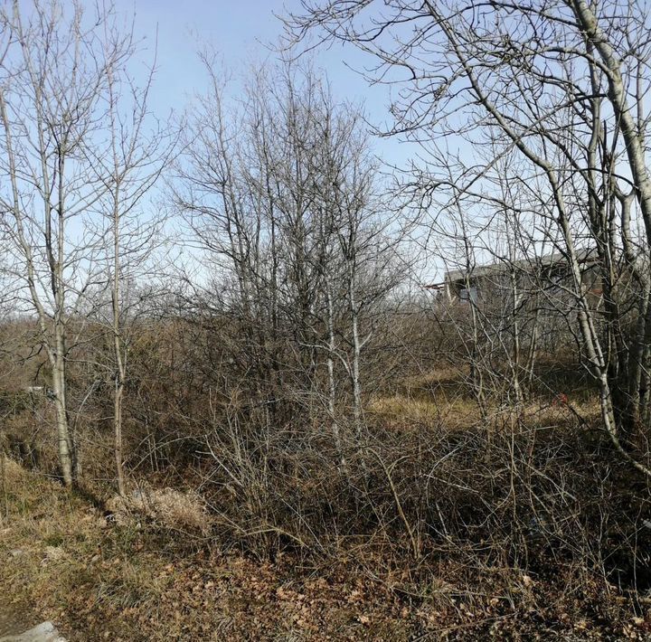 земля г Новороссийск с Васильевка снт Василек ул Лиственная фото 1