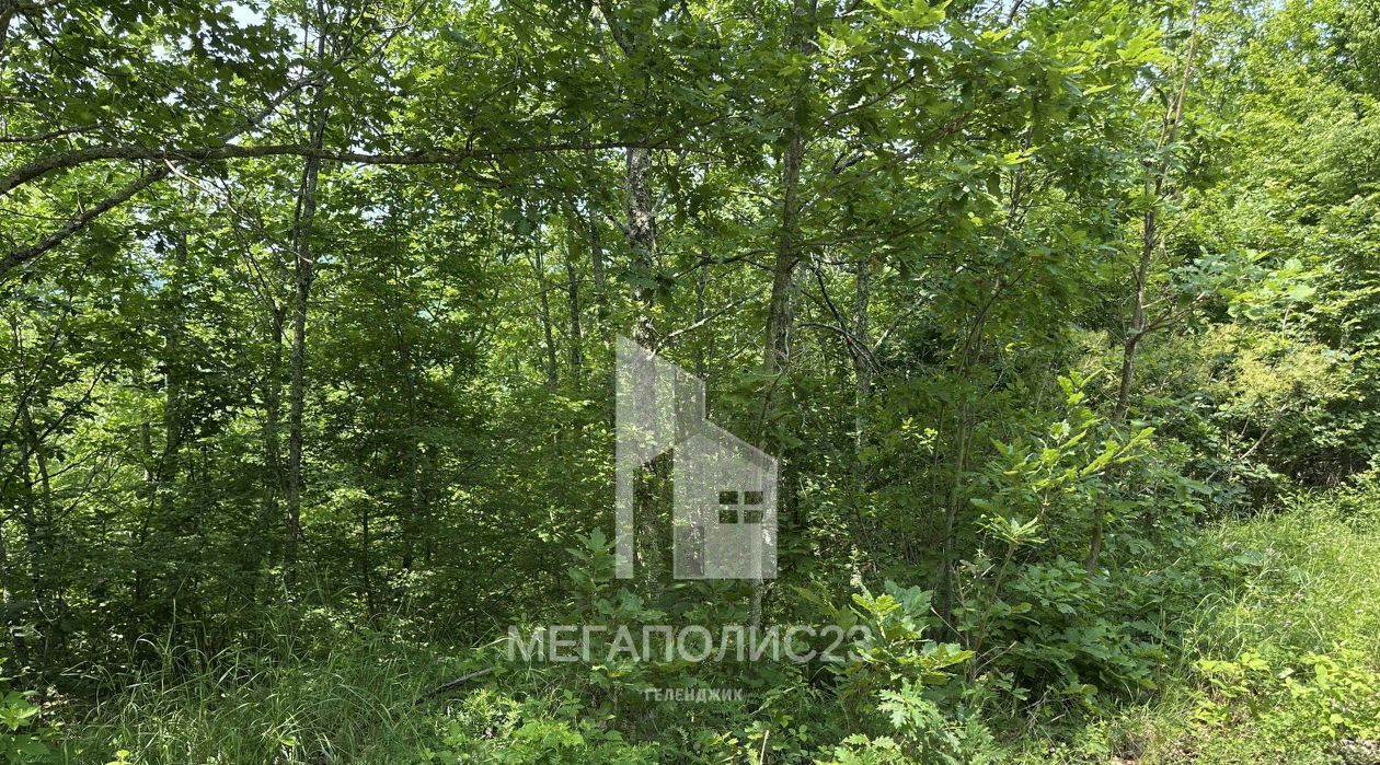 земля г Геленджик с Михайловский Перевал фото 3