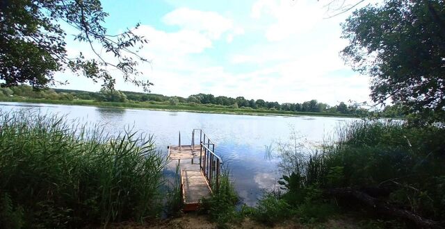 р-н Рамонский рп Рамонь Берёзовское сельское поселение фото