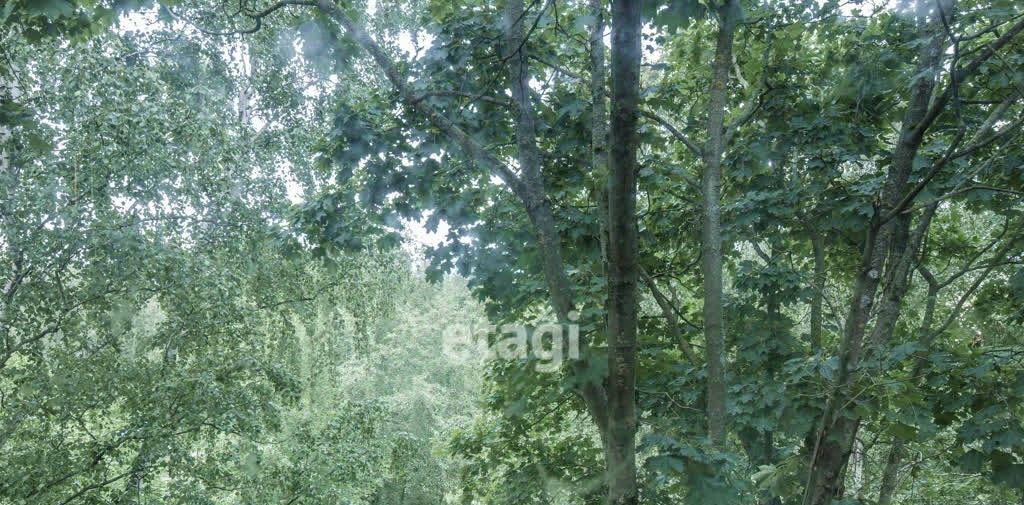 квартира г Колпино ул Танкистов 30 Шушары фото 12