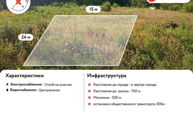 снт Рябинка фото