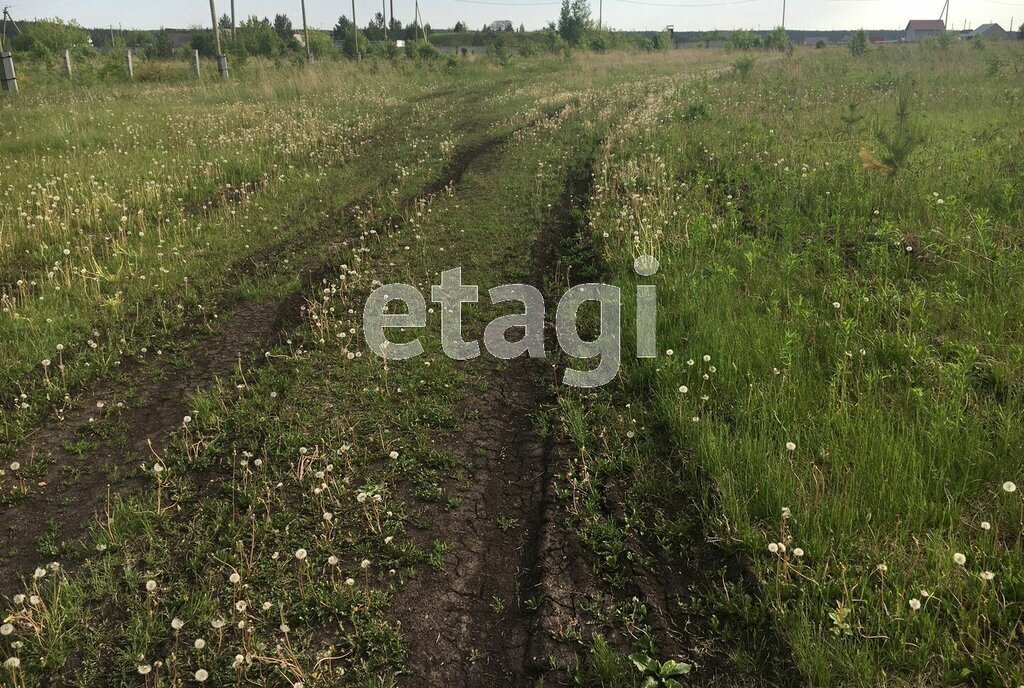 земля г Алапаевск Нейво-Алапаиха фото 5