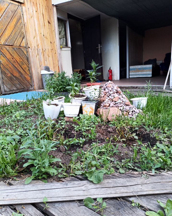 дом г Славгород с Знаменка ул Буденного Благовещенка фото 3