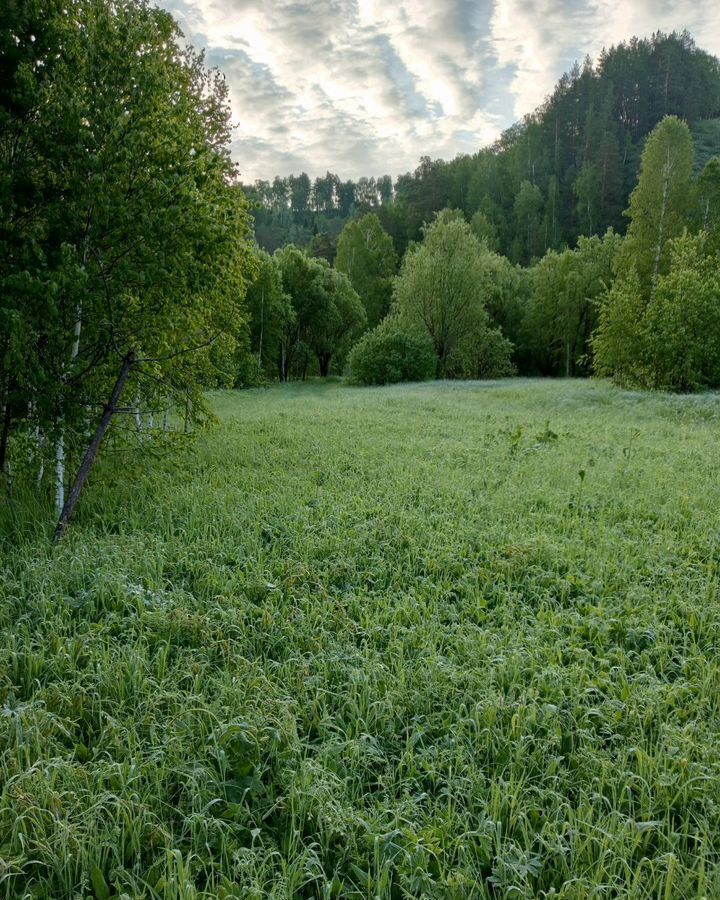 земля г Горно-Алтайск 84К-43 фото 3