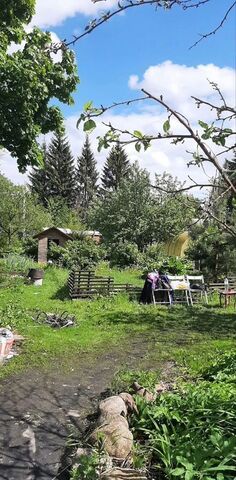 ул Садовая 6а Дорога жизни, 1 км, Муринское городское поселение фото