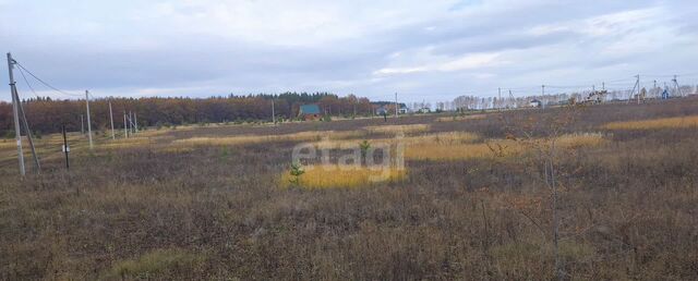 земля с Луговое ул Академика Корнилова р-н Железнодорожный фото