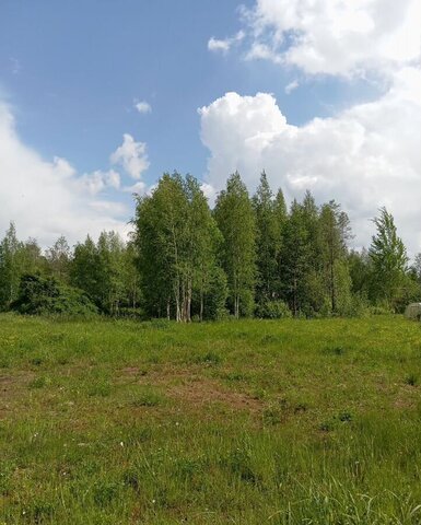земля г Ивангород ул Садовая Таллинское шоссе, 103 км, Ивангородское городское поселение, садоводческое некоммерческое товарищество Южное фото