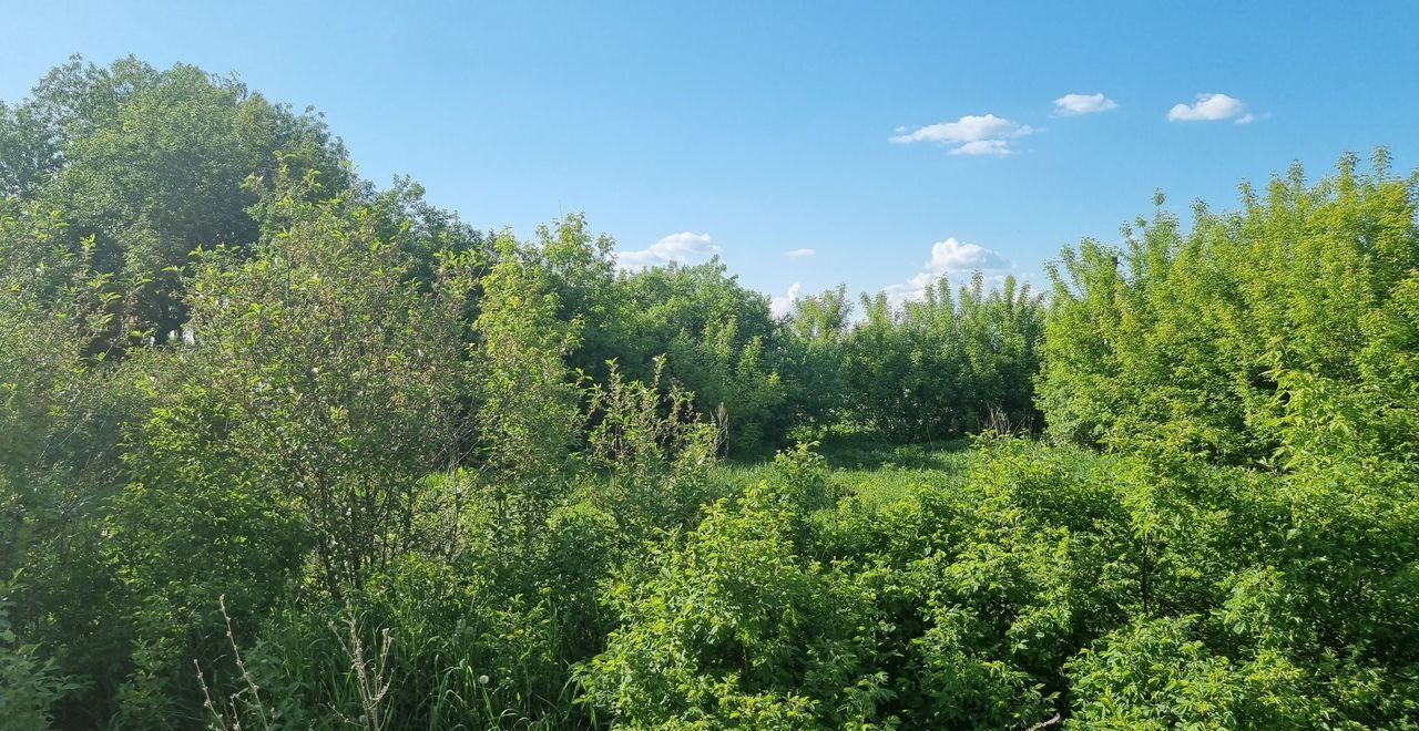 земля г Казань ул Центральная Республика Татарстан Татарстан, Кощаковское сельское поселение, садоводческое товарищество Шемелка, Пестречинский р-н фото 3