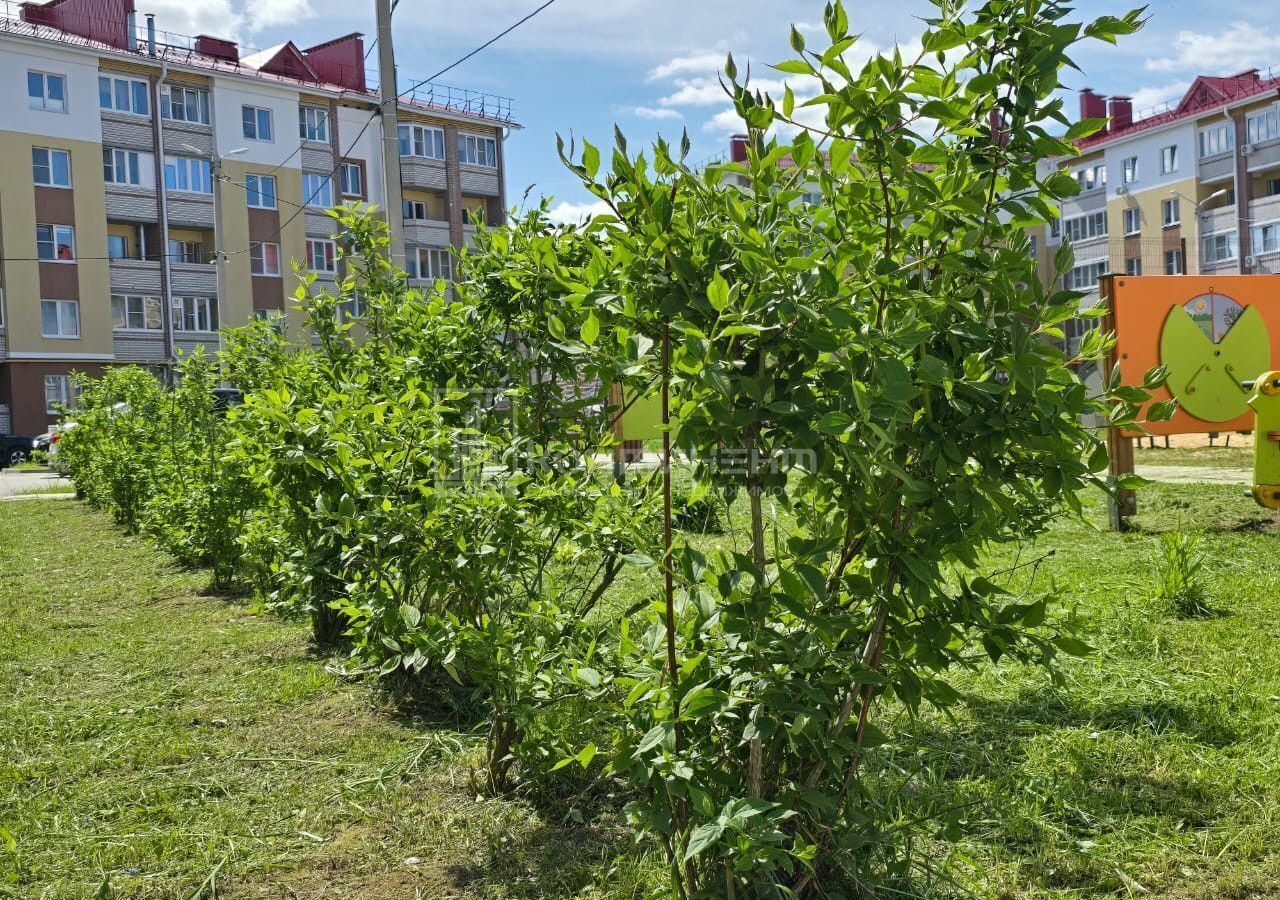 квартира г Ковров ЖК «Парадный-1 в Славном» аллея Победителей, 4 фото 11
