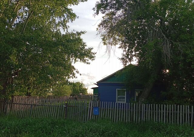 д Ясная Поляна Павлоградка фото
