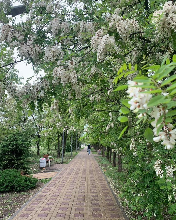 квартира г Ростов-на-Дону р-н Октябрьский ул Платона Кляты 25 фото 32