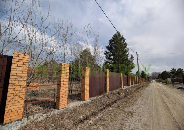 Плотниковский сельсовет, ДНТ Рябинка, Пихтовая ул, Кольцово фото
