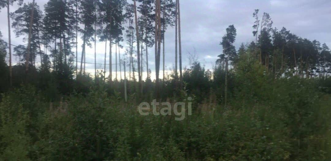земля г Ревда с Кунгурка ул Новая фото 4
