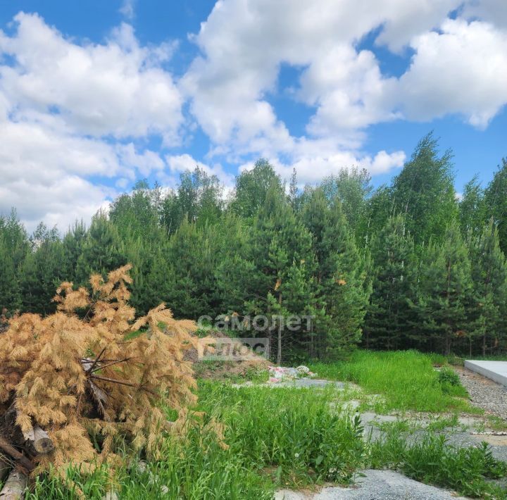 земля г Екатеринбург р-н Чкаловский Улесье кп фото 4