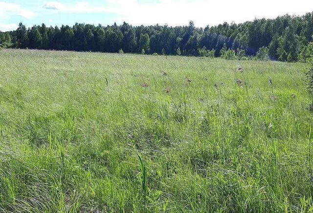 земля д Невежино Локня фото
