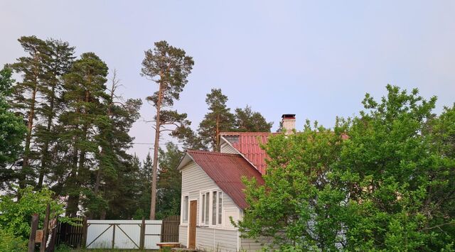 Рахьинское городское поселение, пос. При железнодорожной станции Ладожское Озеро фото