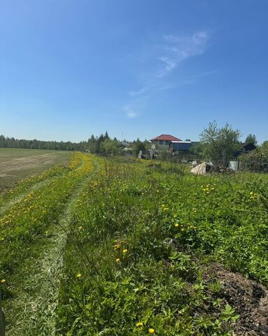 33 км, Красноармейск, Ярославское шоссе фото