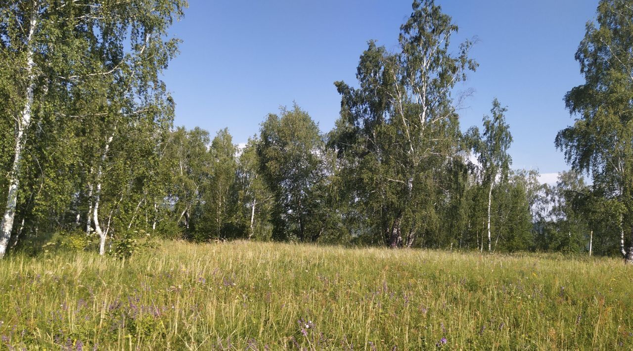 офис г Октябрьский фото 1