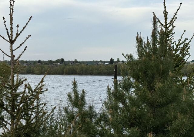снт Шинник Новоомское сельское поселение, Омск фото