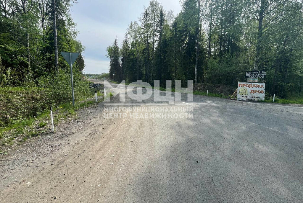 земля г Петрозаводск р-н Древлянка Древлянка-3 фото 6