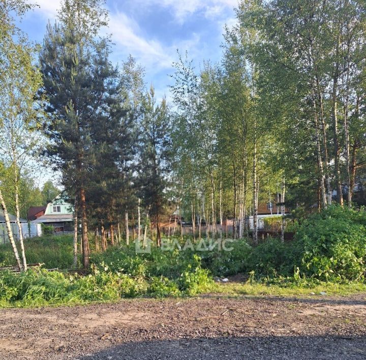 земля городской округ Богородский г Ногинск снт Электрон 98 фото 1