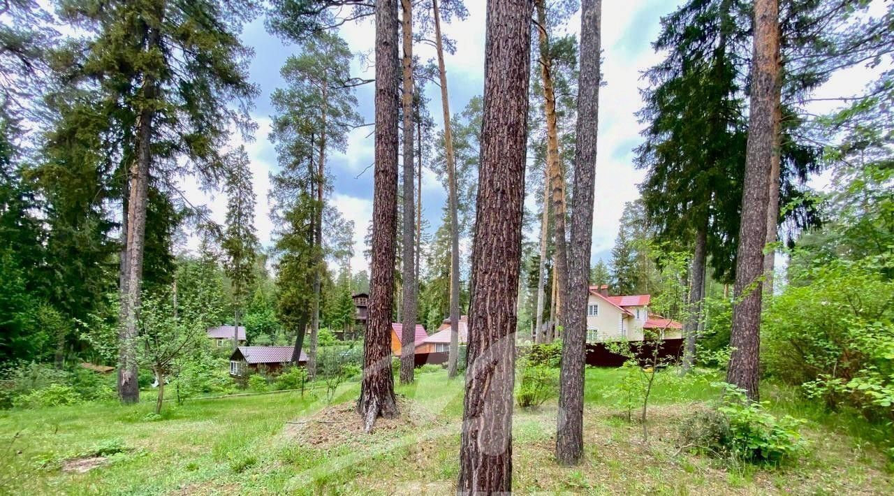 земля г Щёлково ДСК Слава-1 тер., 61 фото 9