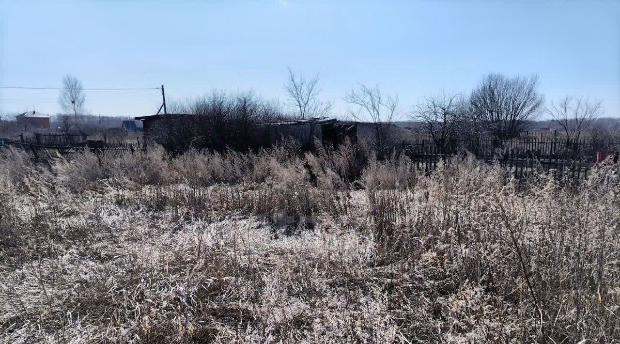 земля г Омск р-н Октябрьский СОСН Шинник-4 тер., аллея 8-я, 127 фото 4