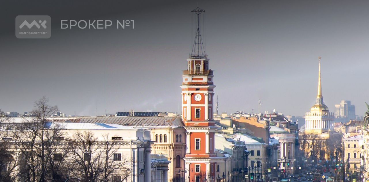 свободного назначения г Санкт-Петербург метро Владимирская пр-кт Невский 74/76г фото 17
