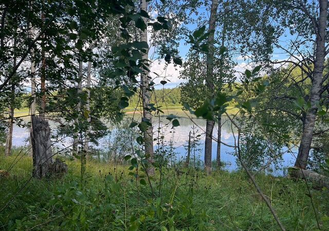 Мийнальское сельское поселение, 86К-119, 31-й километр, Лахденпохья фото