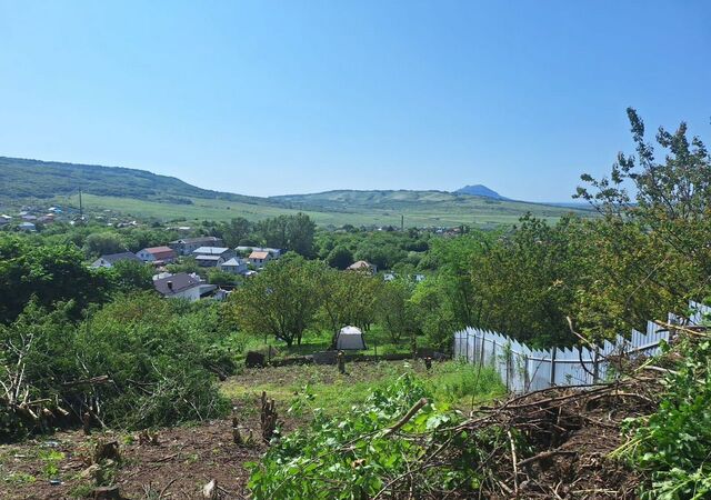 Медовый пер фото