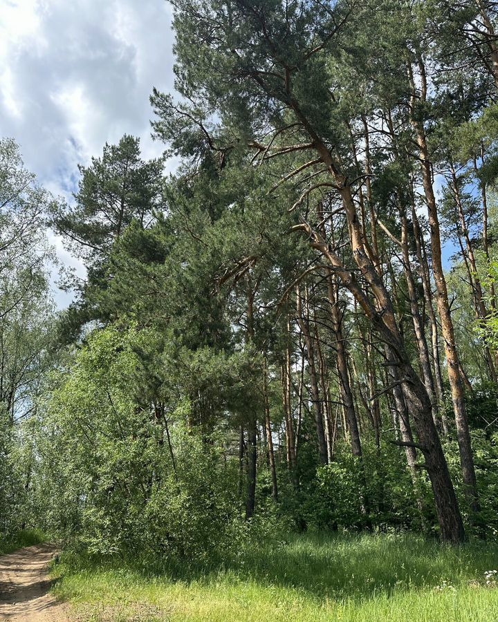 земля г Истра Павловская Слобода, 19 км, КП Лес и река, Волоколамское шоссе фото 11