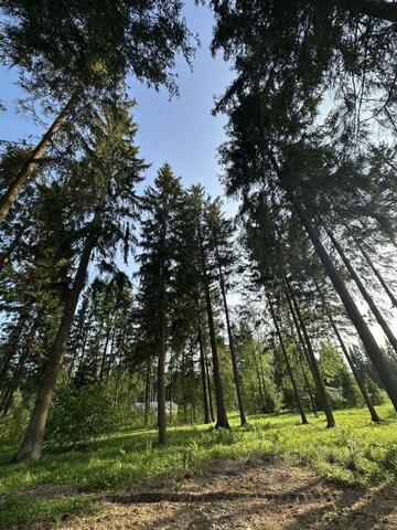 направление Рижское (северо-запад) ш Новорижское городской округ Истра, Истра фото