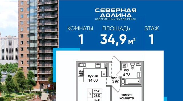 п Парголово ул Фёдора Абрамова 29 фото