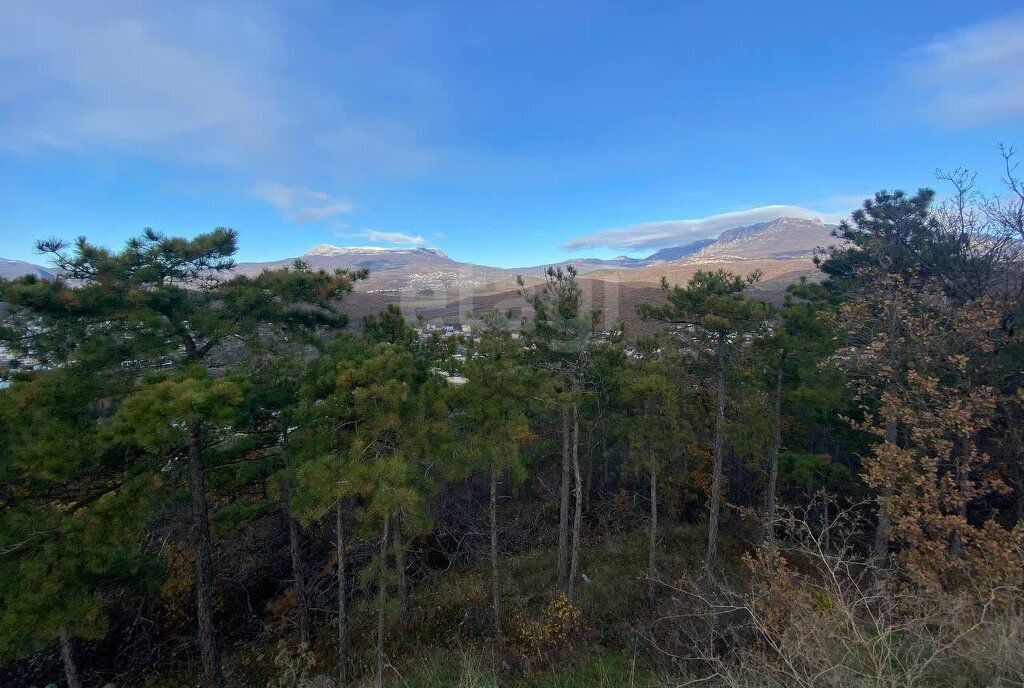 земля г Алушта п Семидворье фото 3