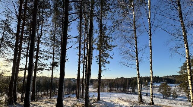 земля Бугровское городское поселение, Хилл Сайд кп, Парнас фото