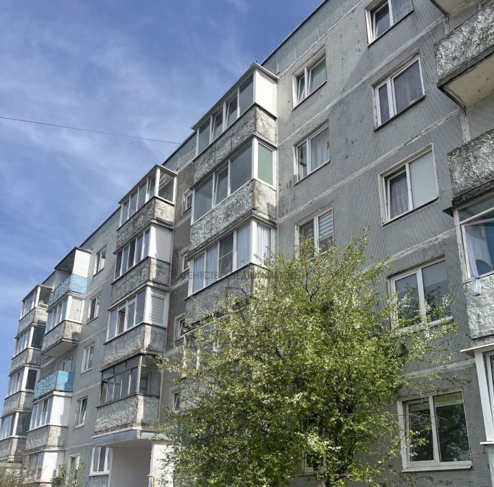 квартира г Светлый ул Гагарина 5 фото 18