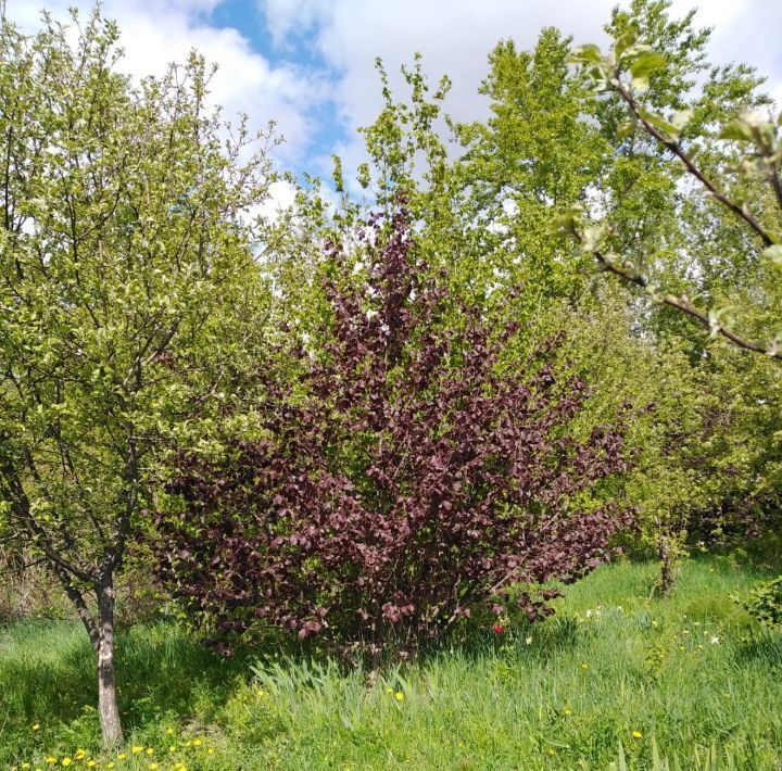 земля р-н Щекинский г Щекино ул Строителей фото 3